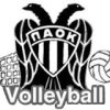 PAOK_VOLLEY